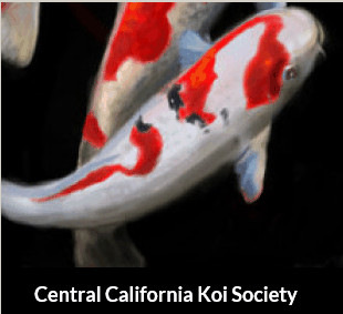 Central Cal Koi Society